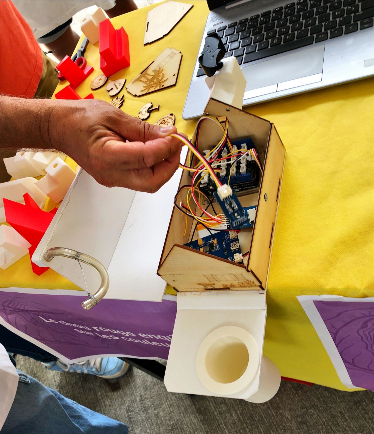 Le chou rouge labo steam