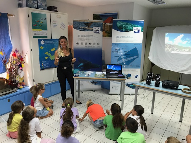 Le "Grand défi" à Saint-Barthélemy