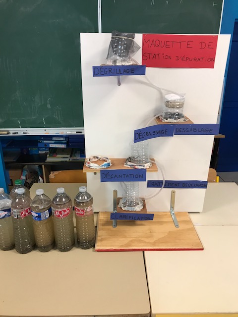 Le "Grand défi" à Saint-Barthélemy