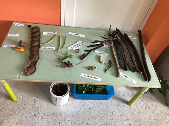 Le "Grand défi" à Saint-Barthélemy