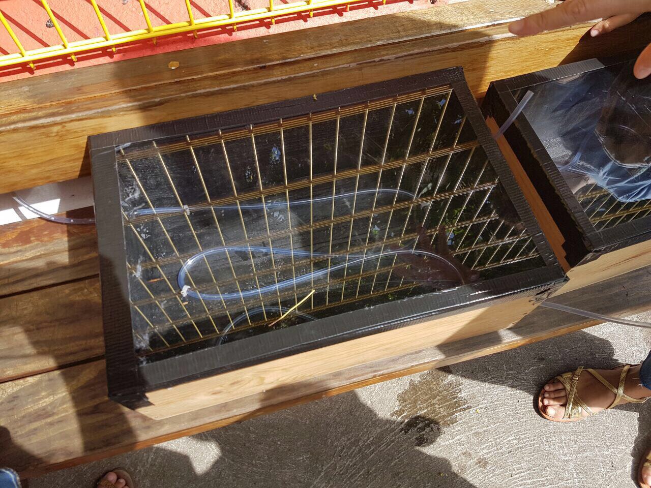 Le "Grand défi" à Saint-Barthélemy