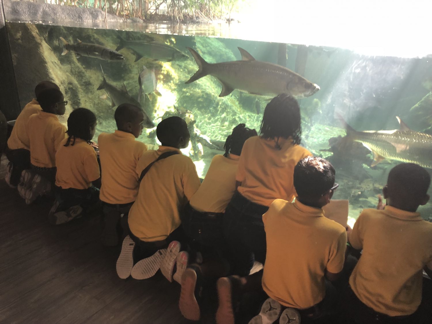 20 élèves de Quartier d’Orléans en séjour pédagogique en Guadeloupe