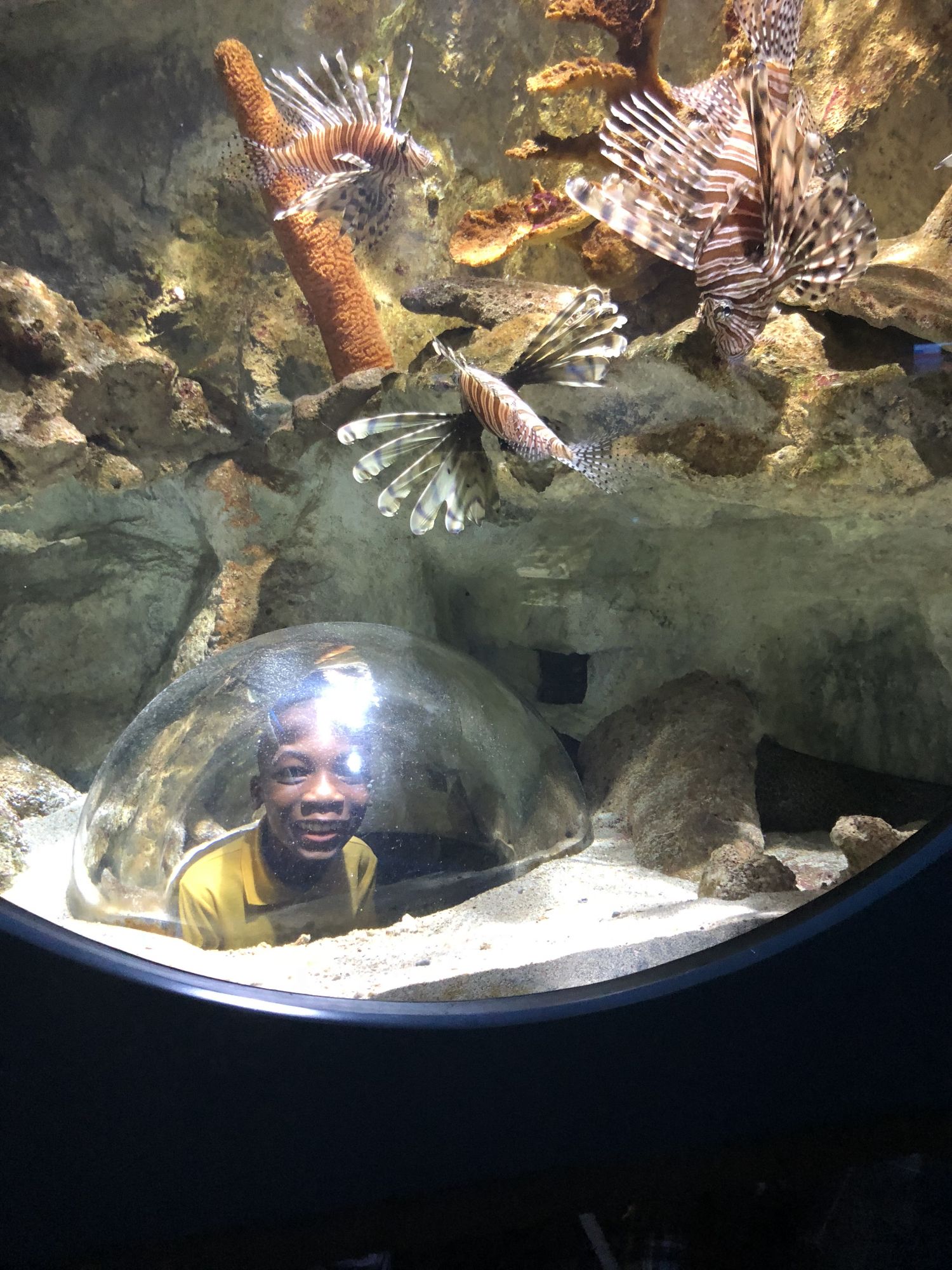 20 élèves de Quartier d’Orléans en séjour pédagogique en Guadeloupe